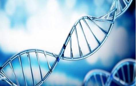 百(bai)傲2019再穫三證，進入DNA免(mian)提(ti)時代